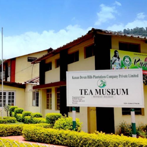 Tea Museum