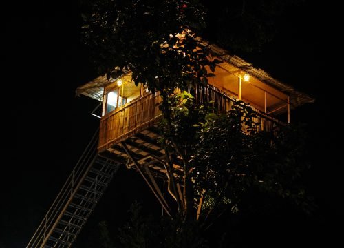 Tree House