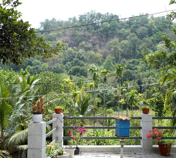 Green Hill