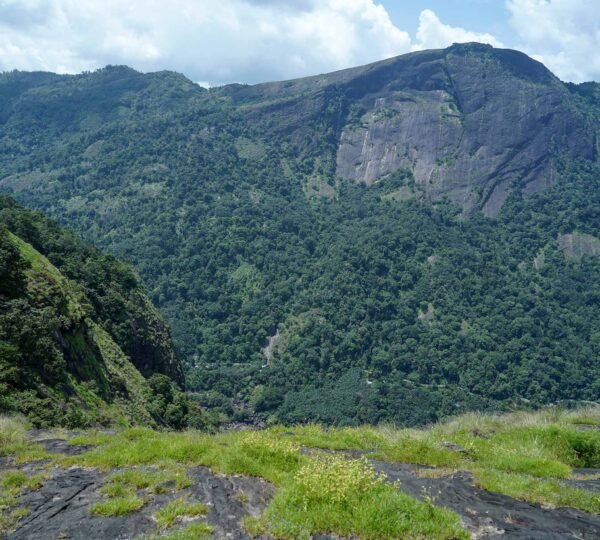 Green Hill